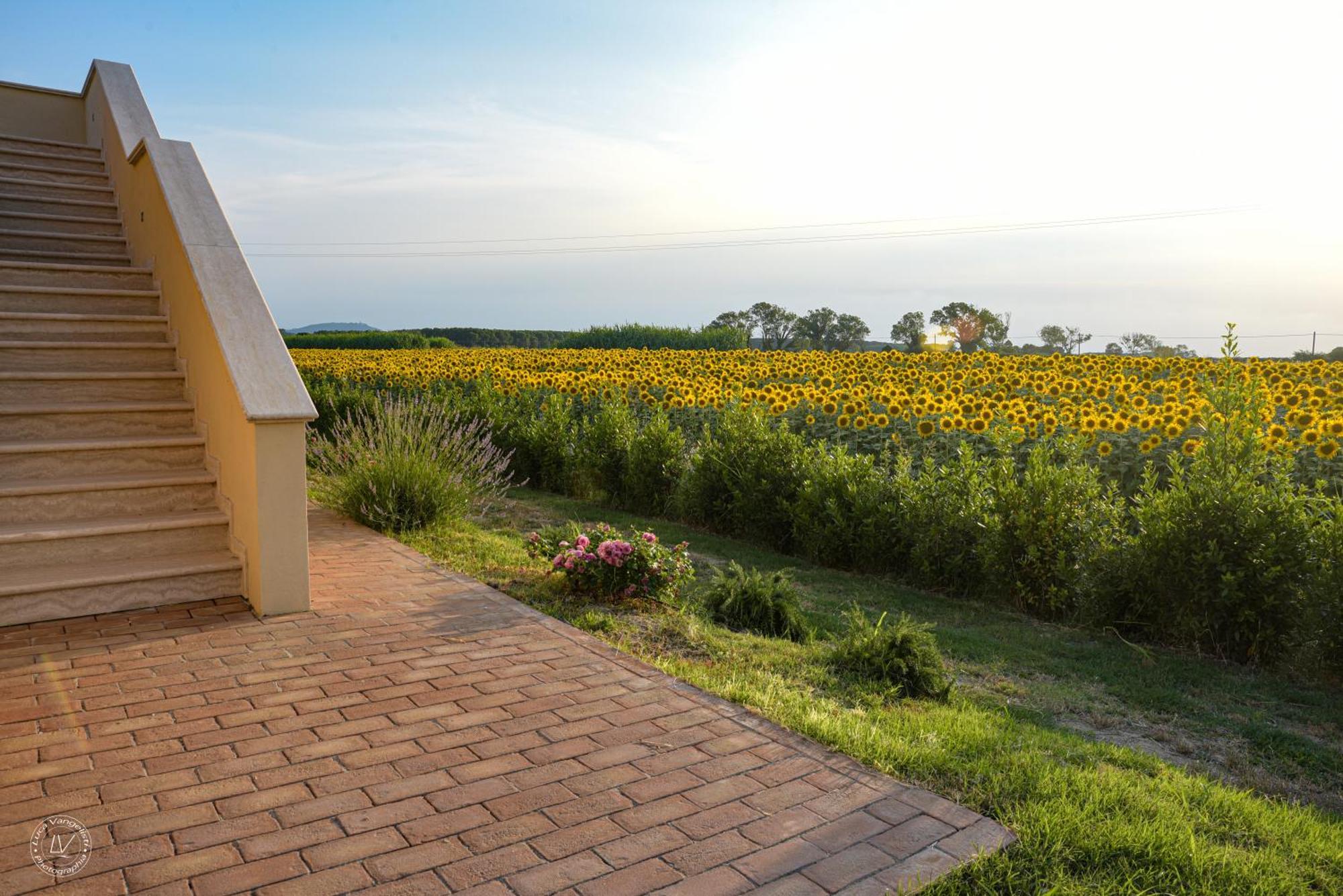 Agriturismo Villa Toscana Campiglia Marittima Ngoại thất bức ảnh