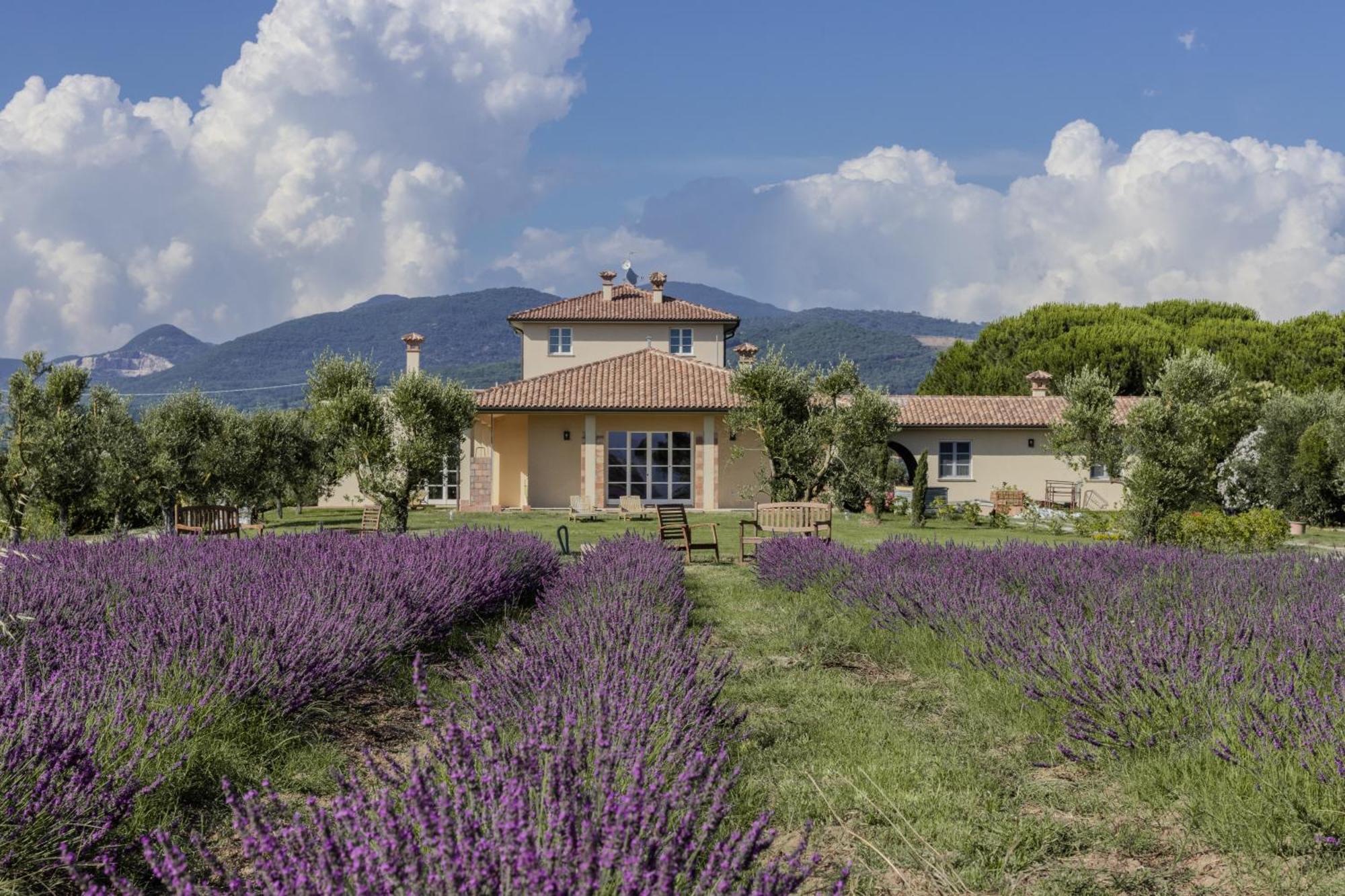 Agriturismo Villa Toscana Campiglia Marittima Ngoại thất bức ảnh